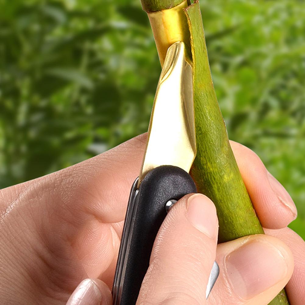 Mesin Cangkok Buah dan Sayuran - Smart Garden Edging ulasan dan harga
